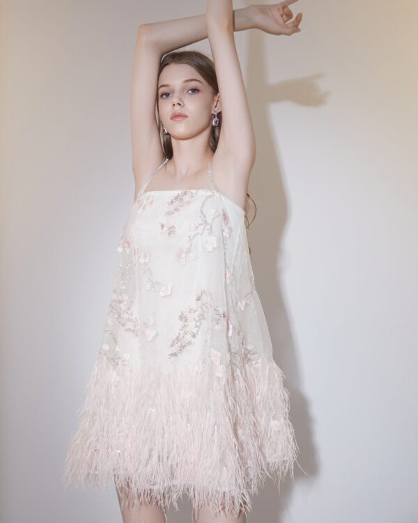 Multicolor Embroidered Feather Crystal Dress