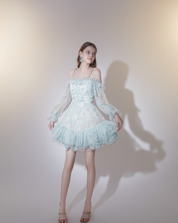 Tulle Embroidered Crystal Dress