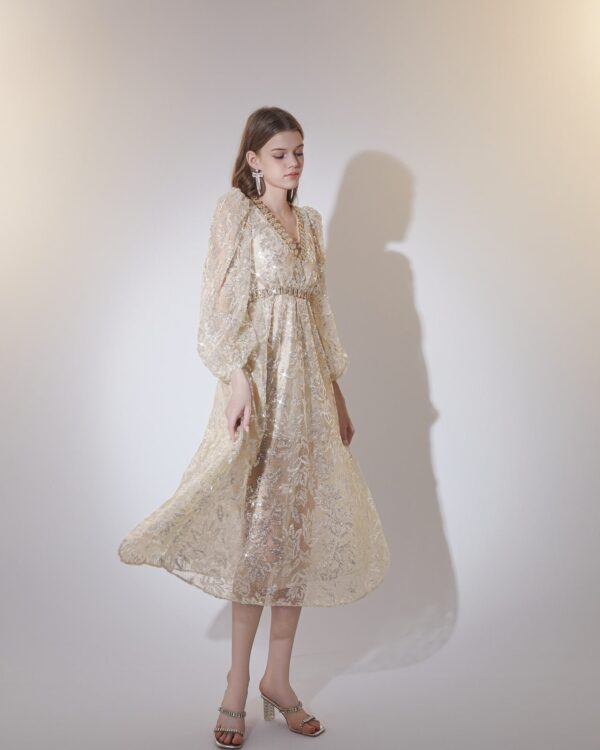 Silk Thread Embroidered Crystal-Chain Dress