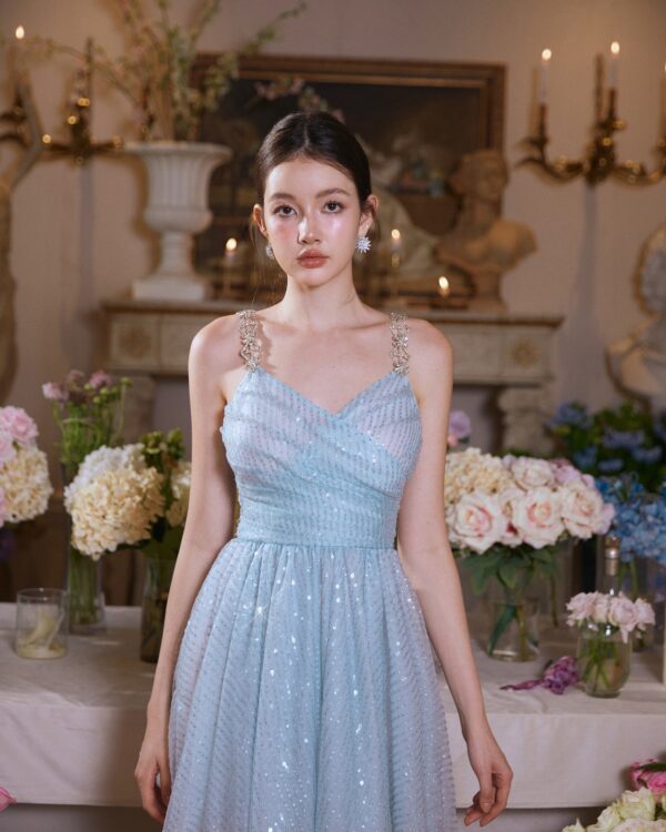 Luxury Sequin Crystal-Chain Embellished Dress