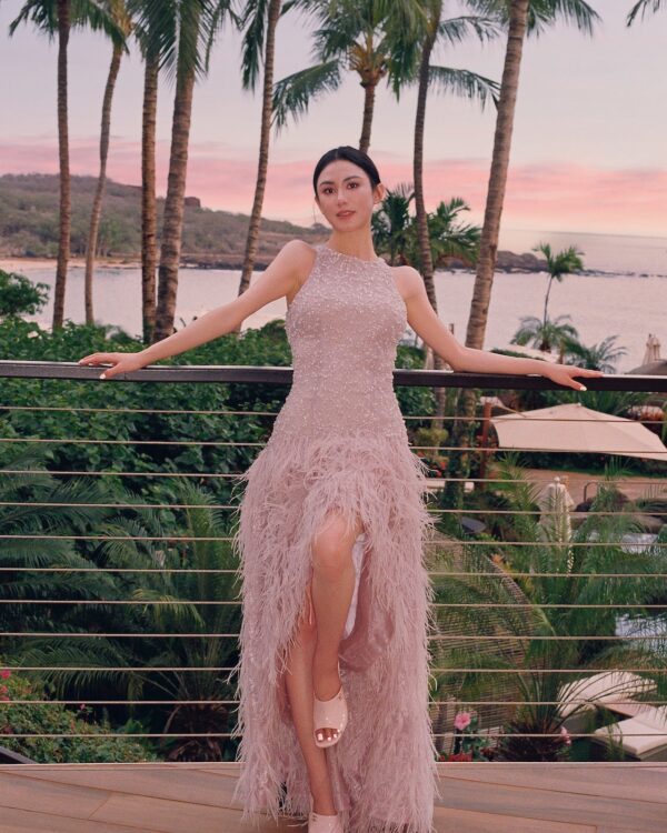 Crystal Lace Feather Volume Gown