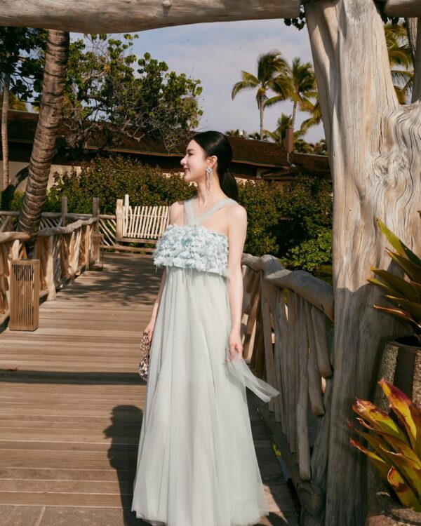 Sheer 3D Floral Fringe Feather Gown